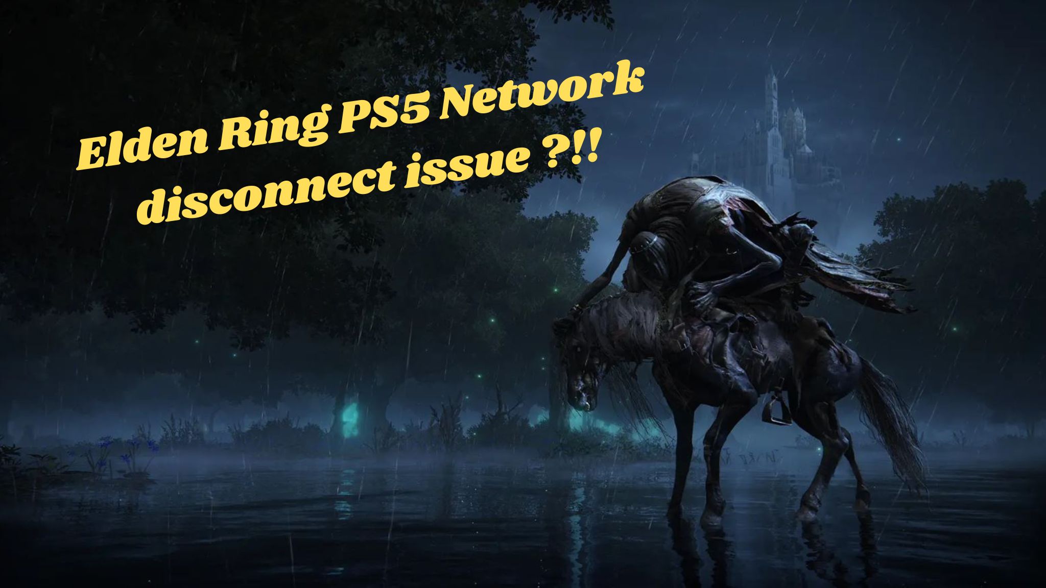 Elden Ring PS5 Network disconnect