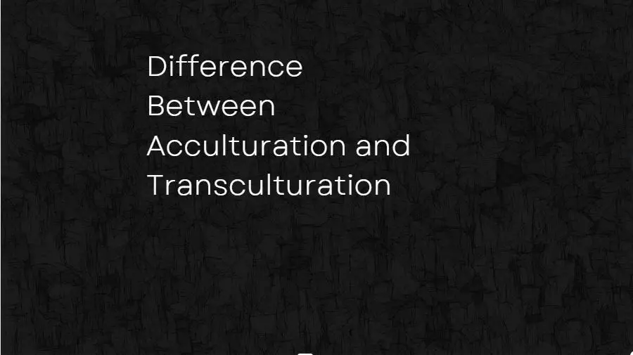The Difference Between Acculturation and Transculturation
